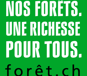 Nos forêts