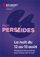 Photo Perséides